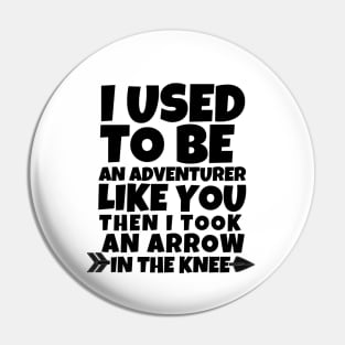 I used to be an adventurer like you Pin