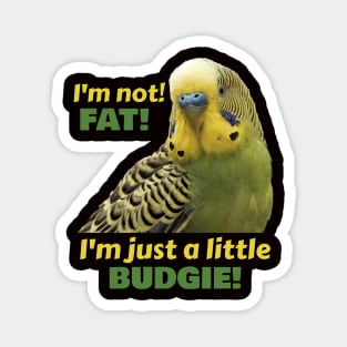 Fat Budgie Parakeet Parrot Magnet