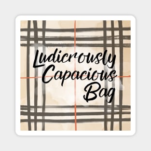 Ludicrously Capacious Bag Magnet