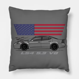 LS4 multicolor 3 Pillow