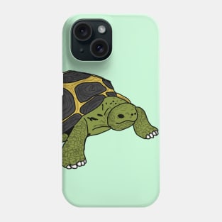 Tortoise Phone Case