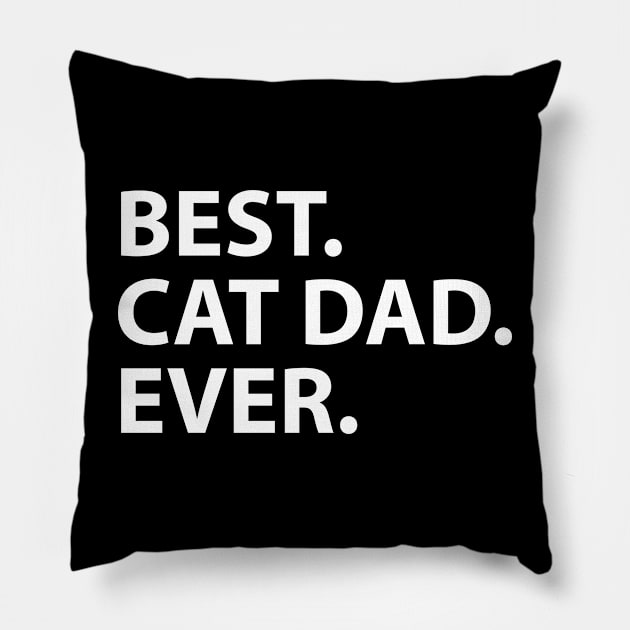 Best cat dad Pillow by HailDesign