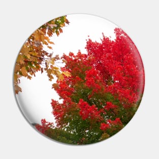 Red green fall trees thanksgiving Pin