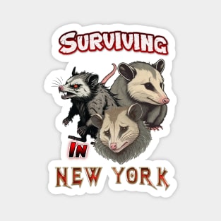 Surviving In New York Magnet