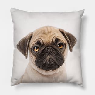 Puggly the Pug Dog Pillow