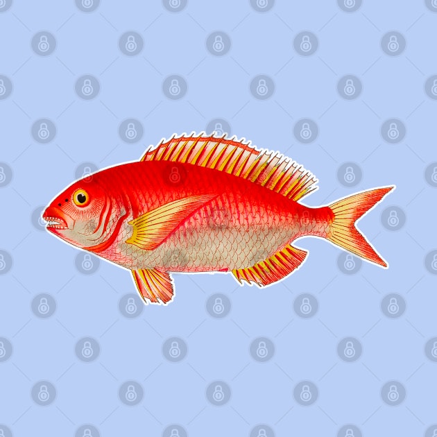 Red fish, colorful vintage design by Marccelus