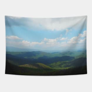 Pretty picture from Shenandoah National Park in Virginia photography Tapestry