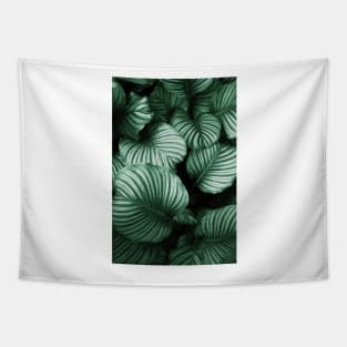 Tropical Lush Palm Leaves Tapestry