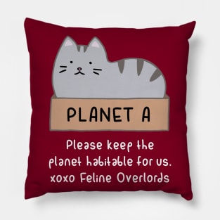 Gray Cat - Habitable Planet (Red) Pillow