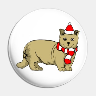 Winter Cat Pin