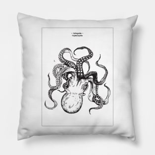 Octopoda Pillow