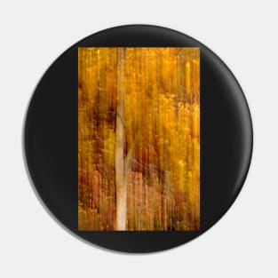 Autumn abstract Pin