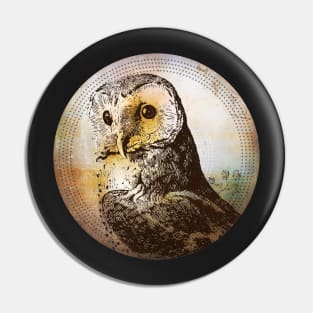 you had to ask - vintage owl geometric design Pin