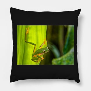 Cute Monkey Treefrog in the Rainforest Pillow