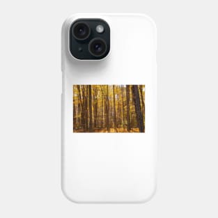 Autumn deep in forest scene on a trail Phone Case