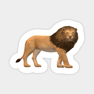 lion Magnet