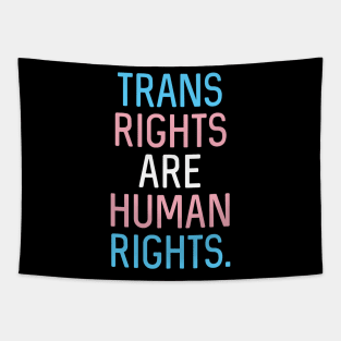 V2: Trans rights are human rights. Tapestry