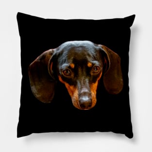 Dacshshund stare Pillow