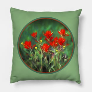 Indian Paintbrush Pillow