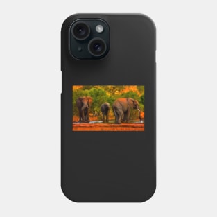 Kruger Elephants Phone Case