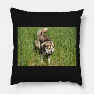 Freyja Pillow