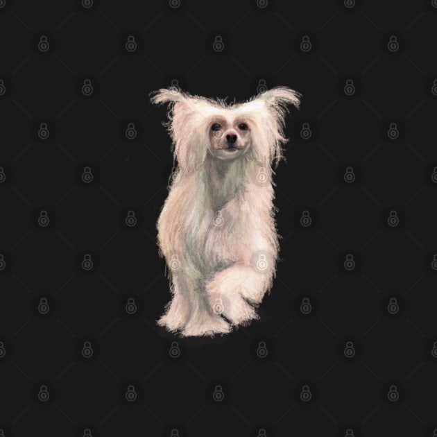 The Chinese Crested Powerpuff Dog by Elspeth Rose Design