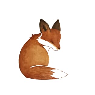 Resting Fox T-Shirt