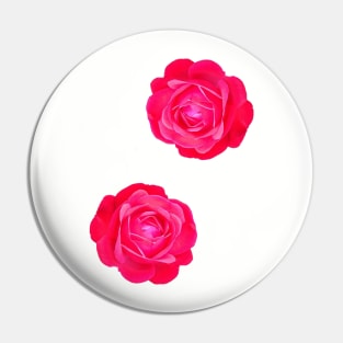 Two pink roses Pin