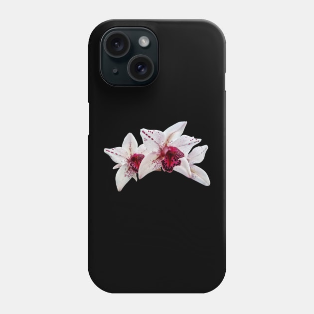 Orchid - Cymbidium Baltic Dew Freckle Face Phone Case by SusanSavad