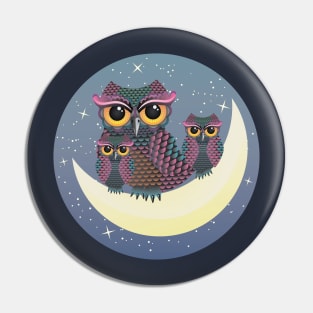 Owls on Crescent moon Pin