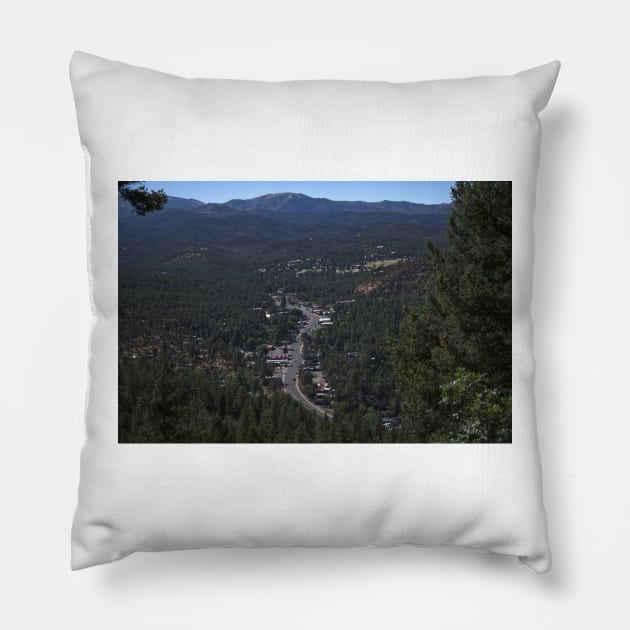 850_8453 Pillow by wgcosby