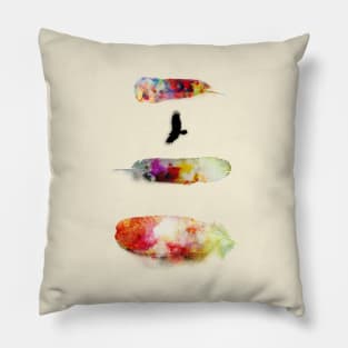 Three Water Colour Feathers and a Bird Pillow