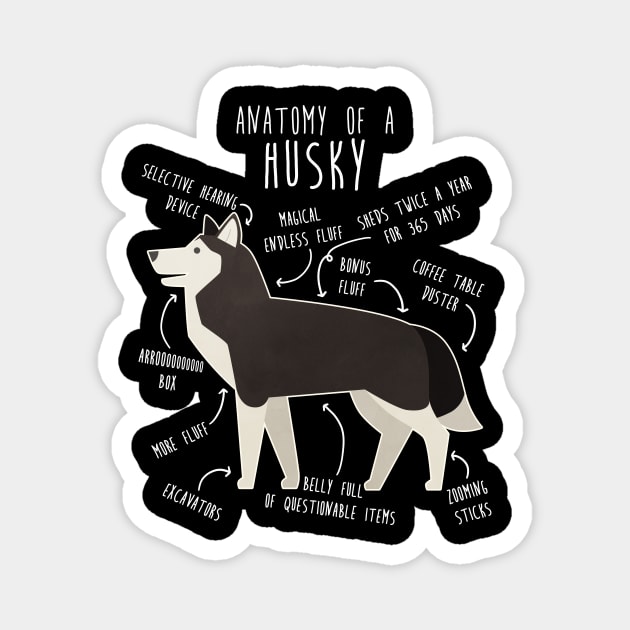 Black and White Siberian Husky Dog Anatomy Magnet by Psitta