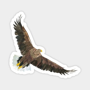 Eagle Soaring Magnet