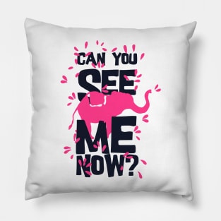 Can you see me now Pillow