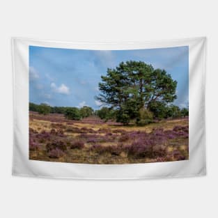 Heathland with trees early in the morning Tapestry