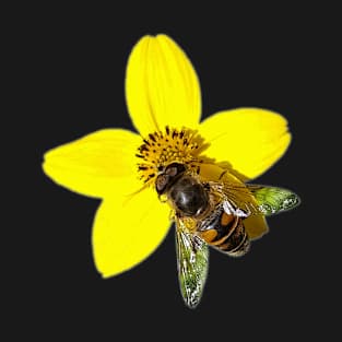 Bee on a yellow flower T-Shirt