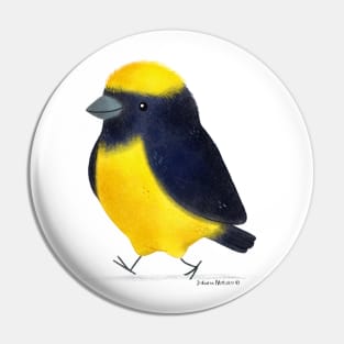 Yellow Crowned Euphonia Bird Pin