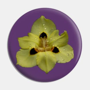 Yellow Pansy Pin