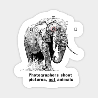 Anti-hunting Elephant Design for Photographers Magnet