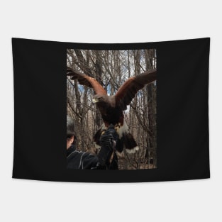 Harris Hawk Tapestry