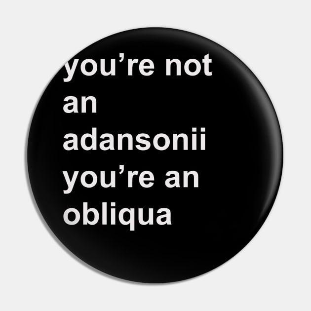 You're not an adansonii you're an obliqua Pin by HousePlantHobbyist