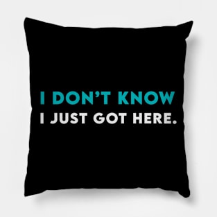 I don't know, i just got here Pillow