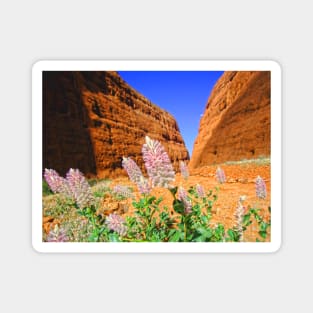 The Olgas Gorge. Uluru-Kata Tjuta National Park. Australia Magnet