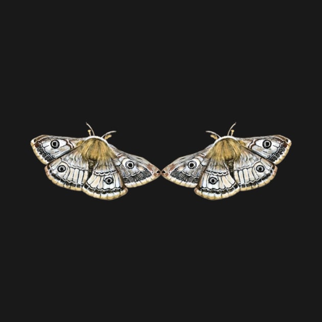 Two Moths by ArtisticEnvironments