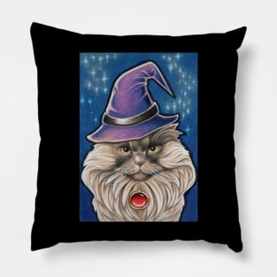 Grouchy Wizard Cat Pillow