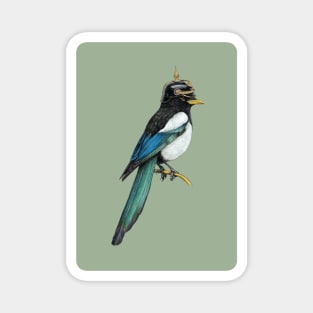 Yellow-billed magpie Magnet