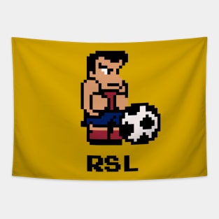 8-Bit Soccer - Salt Lake Tapestry