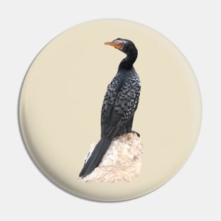 Reed Cormorant - Bird - Africa - Ornithology Pin