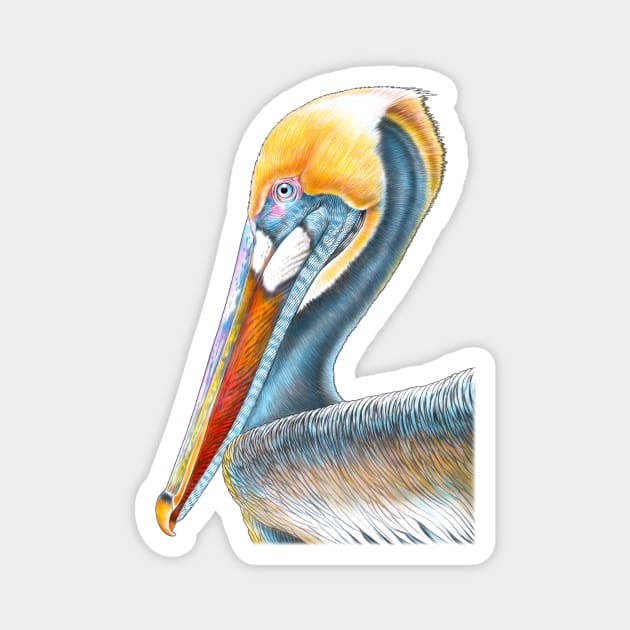 Pelican Magnet by Tim Jeffs Art